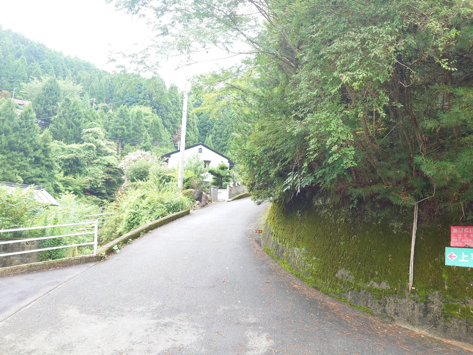 Garden view Kurotaki guesthouse